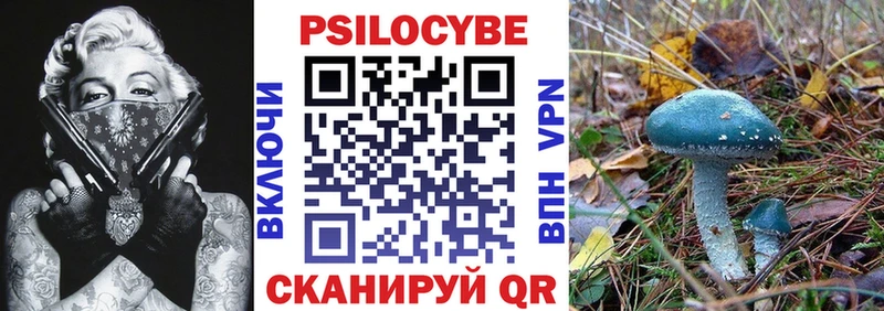 Псилоцибиновые грибы Magic Shrooms Торопец